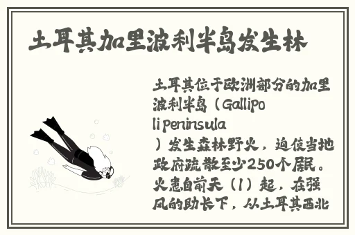 历史课代表穿蕾丝吊带背心